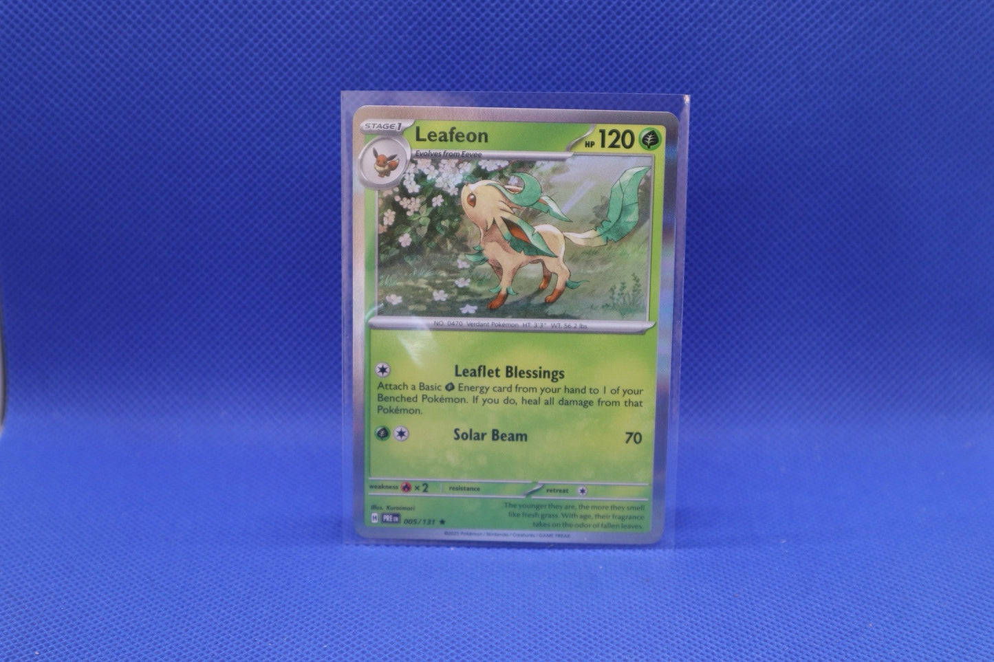 POKEMON LEAFEON HOLO 005/131 PRISMATIC EVOLUTIONS PACK FRESH